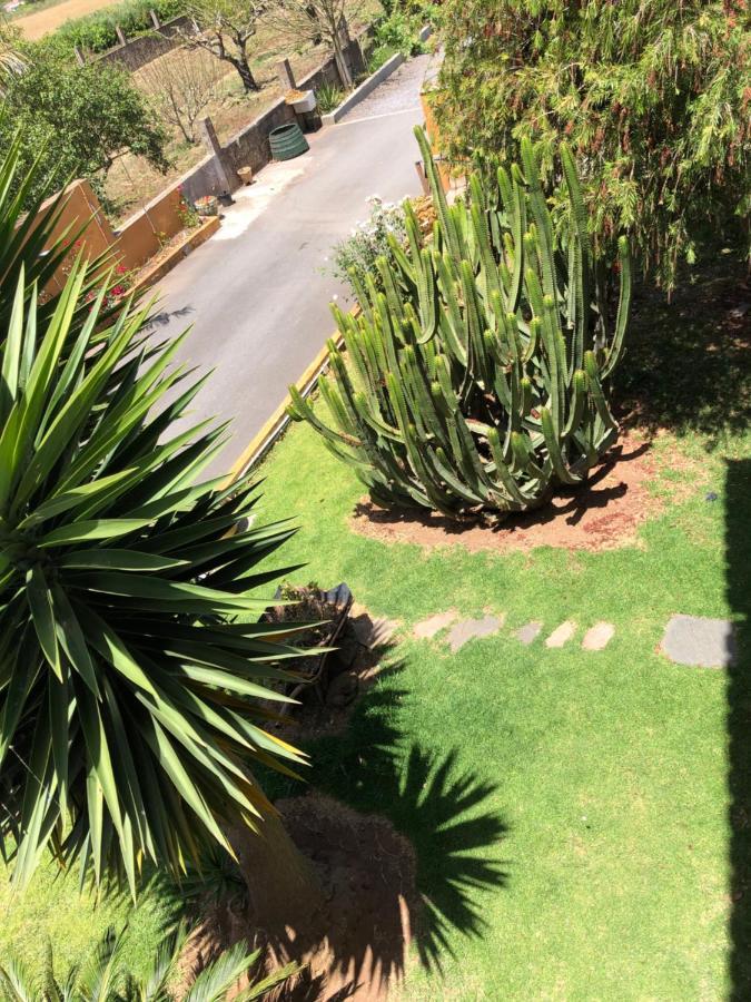 Apartamento En La Laguna サン・クリストバル・デ・ラ・ラグーナ エクステリア 写真